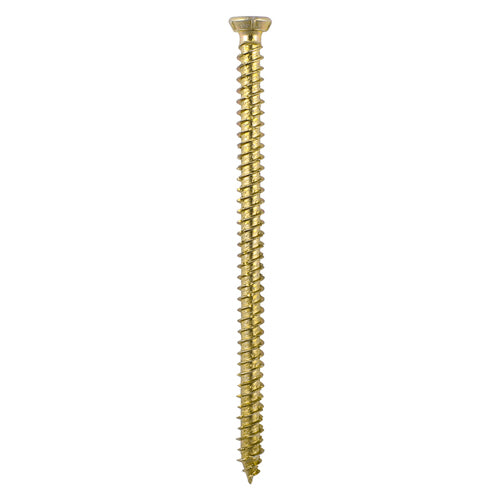TIMCO Concrete Screws Flat Countersunk Gold - 7.5 x 200