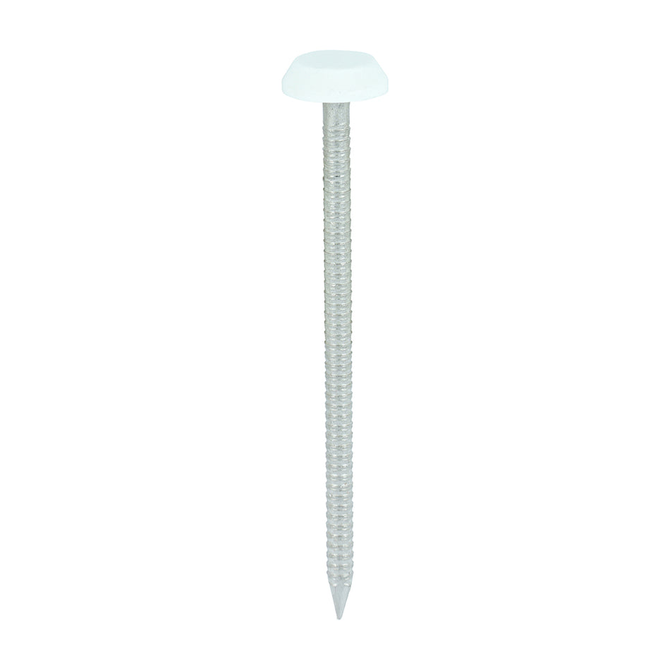 TIMCO A4 Stainless Steel Polymer Head Nails